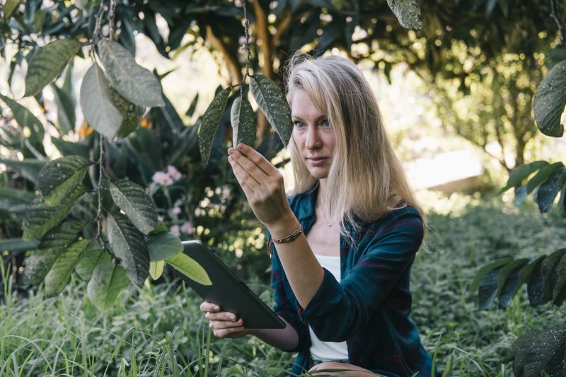 Well Inspection Service